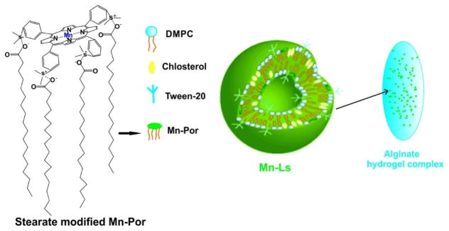 Figure 24