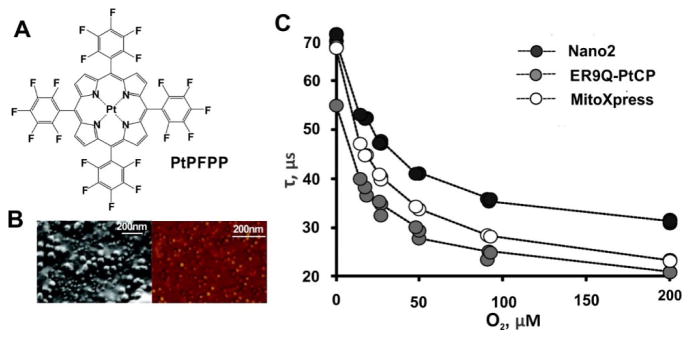 Figure 25