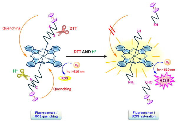 Figure 21