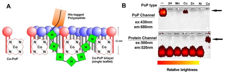 Figure 22