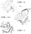 Fig. 8.