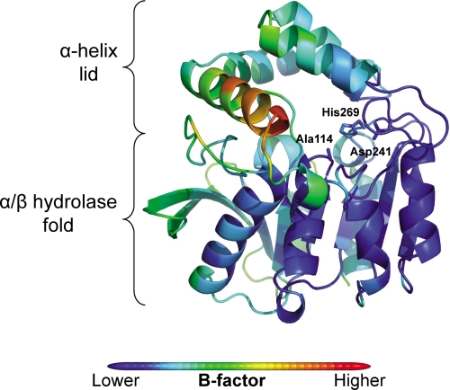 FIGURE 3.