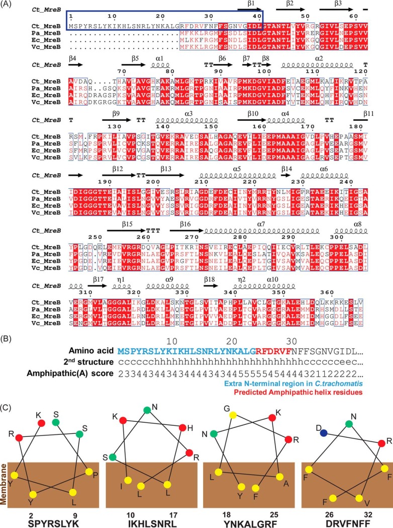 FIG 2