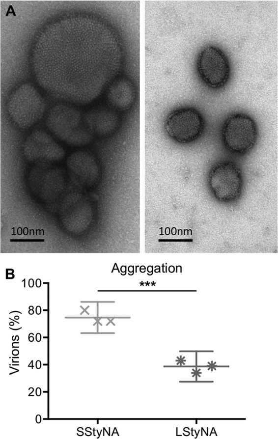 Fig 5