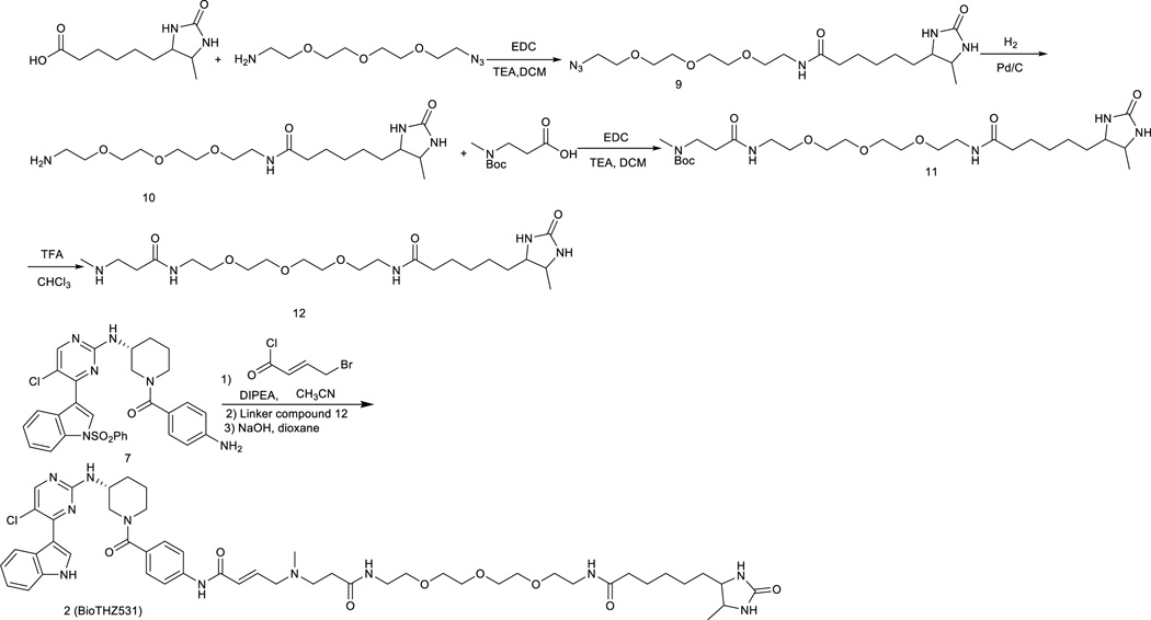 Scheme 2