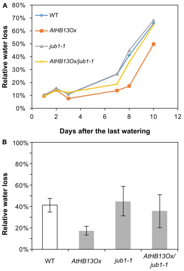 FIGURE 4