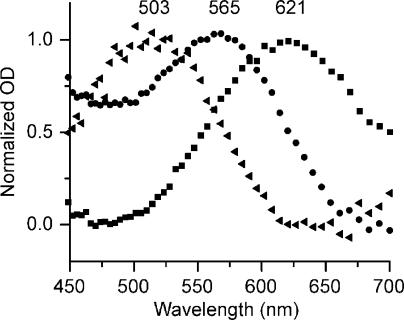 Figure 3.