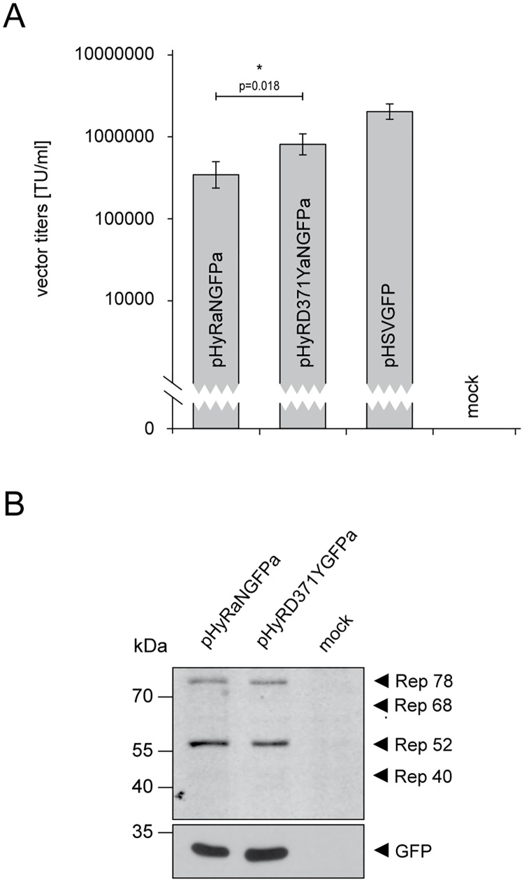 Fig 5