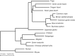 Figure 6: