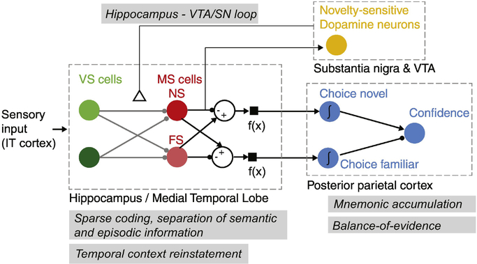 Figure 4 (Key Figure):