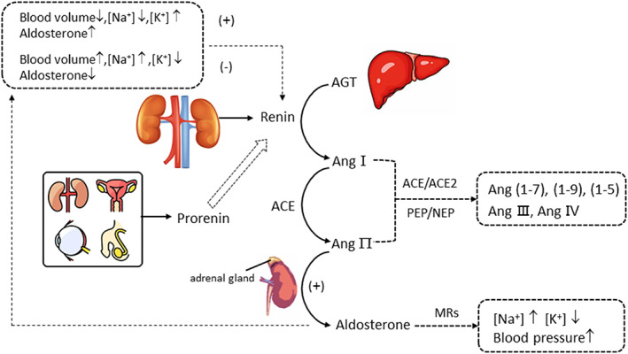 FIGURE 1