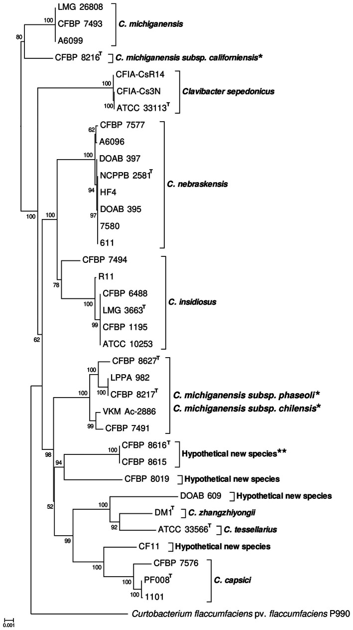 FIGURE 1