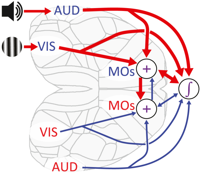 Figure 7