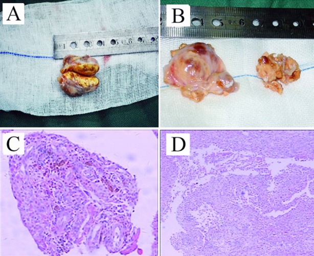 Fig.1