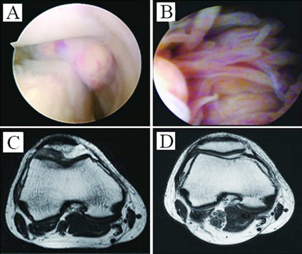 Fig.2