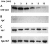 FIG. 6