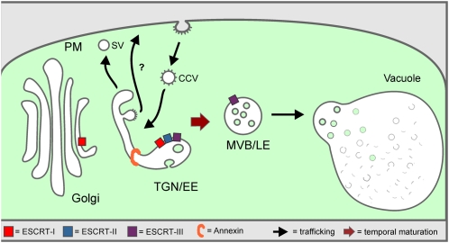 Figure 10.