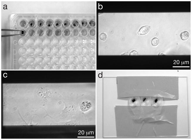 Fig. 4