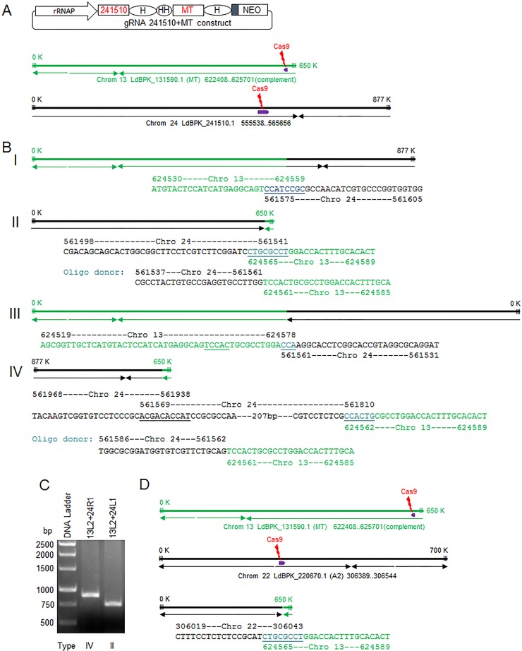 FIG 3 