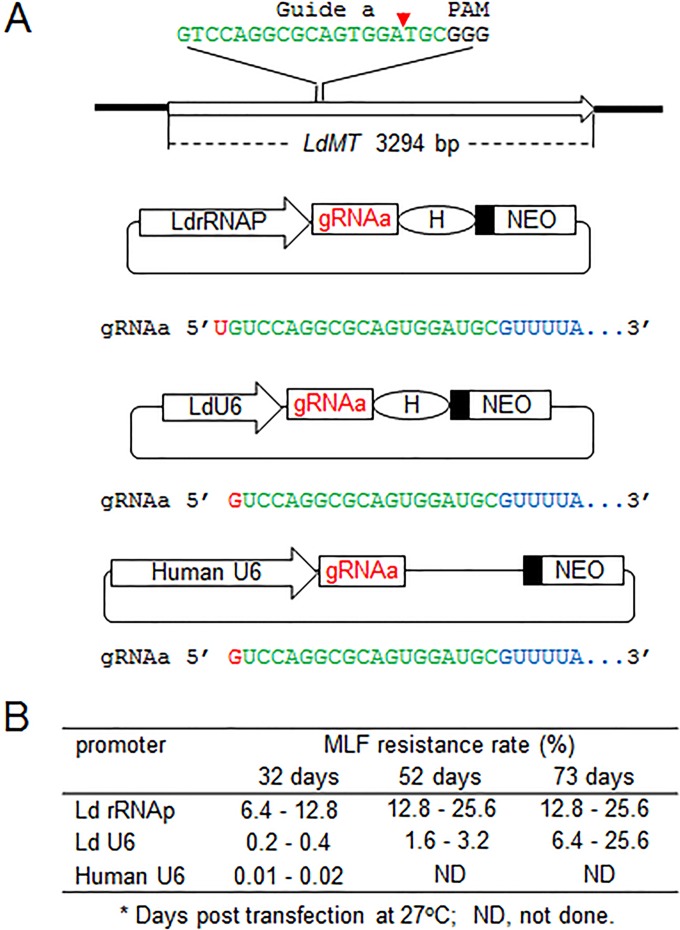 FIG 4 