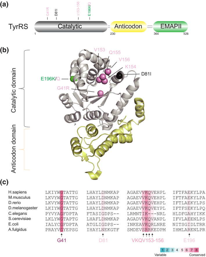 FIGURE 2