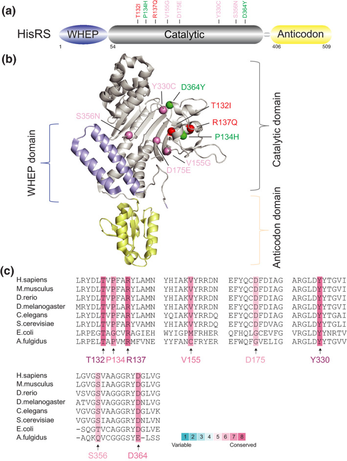 FIGURE 4