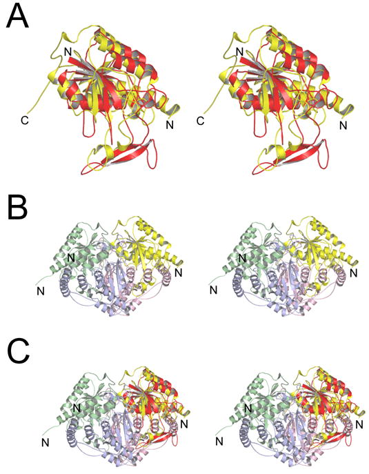 Figure 7