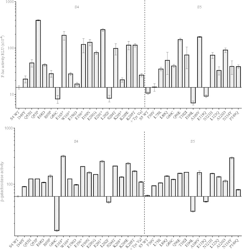 FIG 2