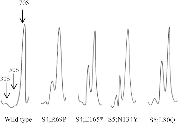 FIG 3