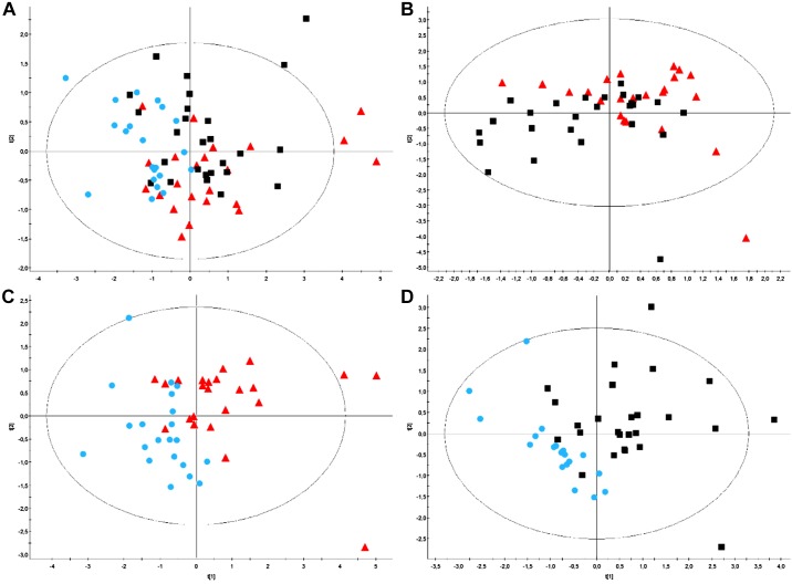 Fig. 8.