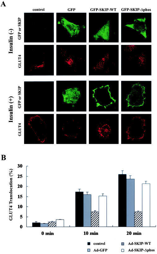 FIG. 8.