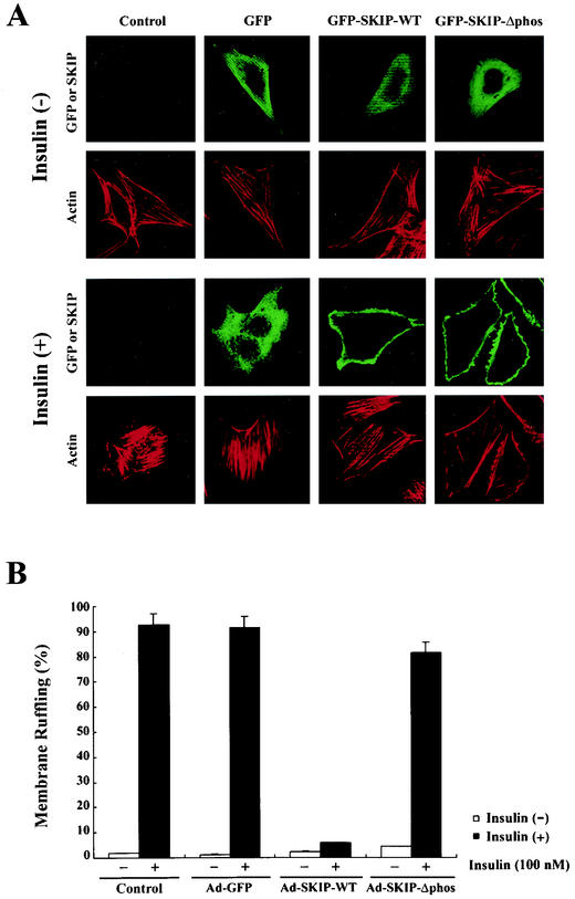 FIG. 7.