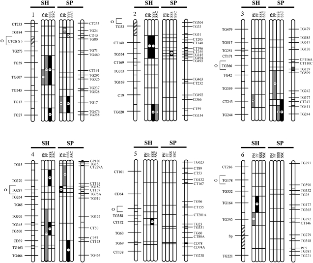 Figure 2.—