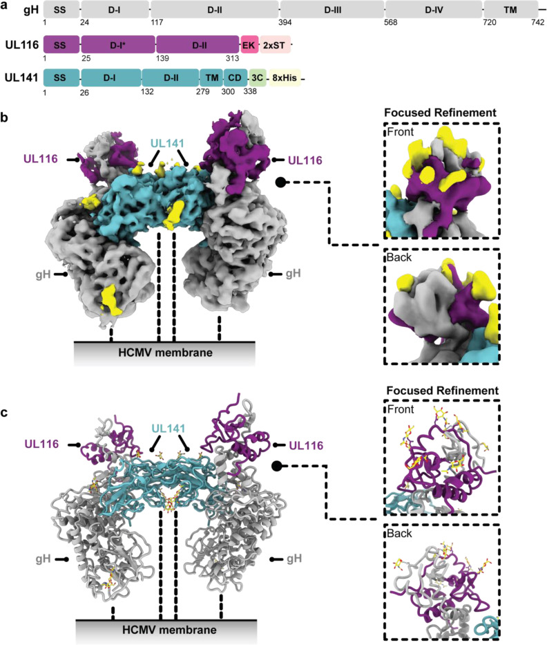 Fig. 7.