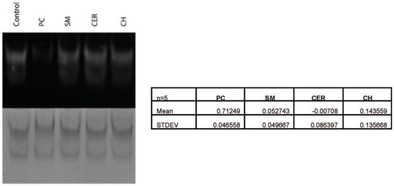 Fig. ED7