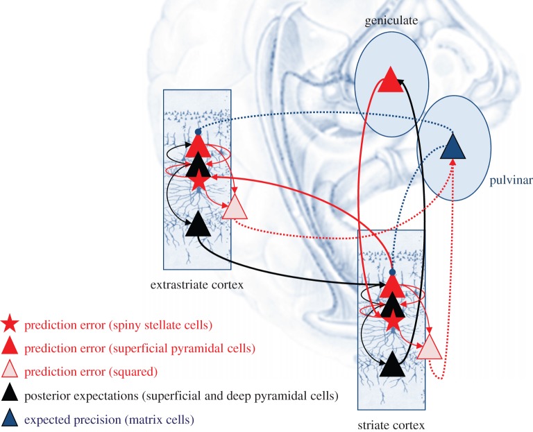 Figure 6.