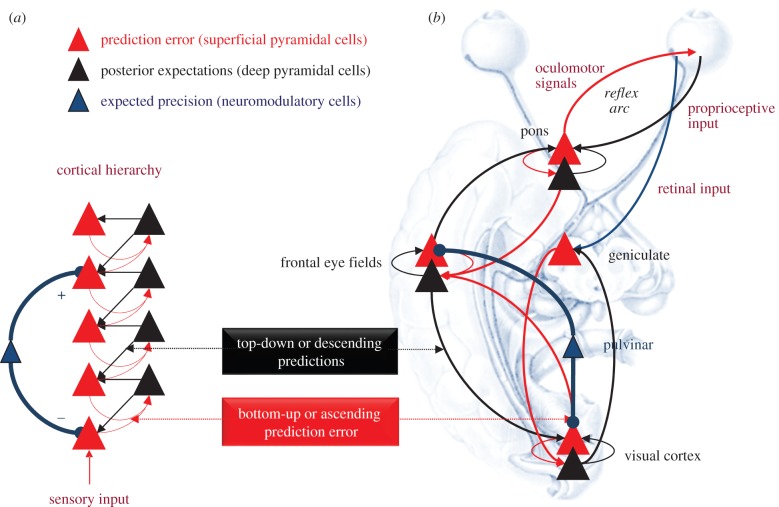 Figure 2.