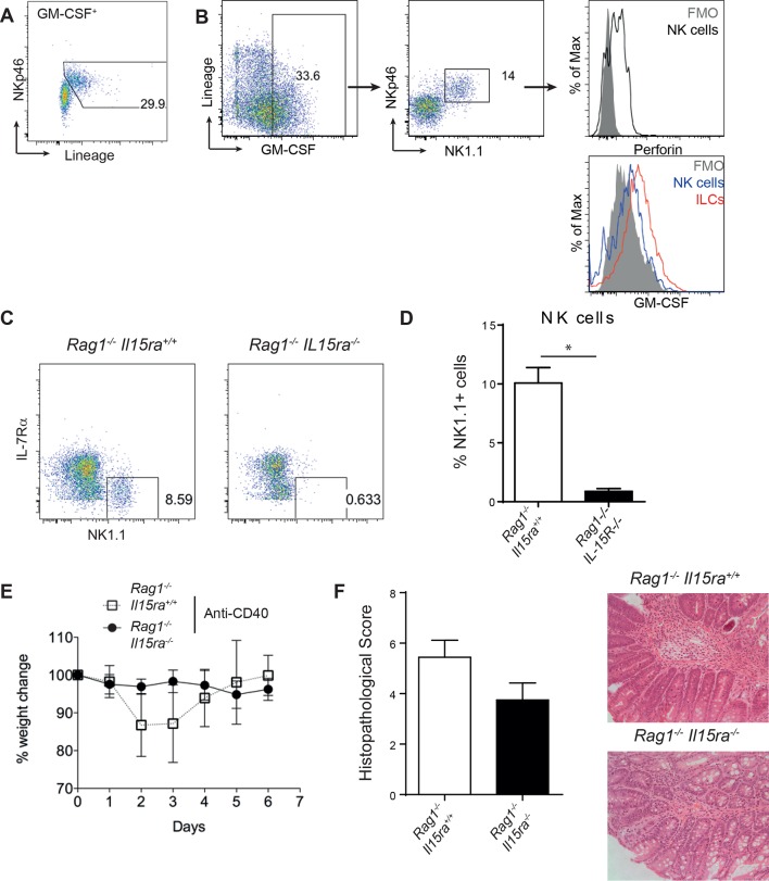 Figure 2—figure supplement 1.