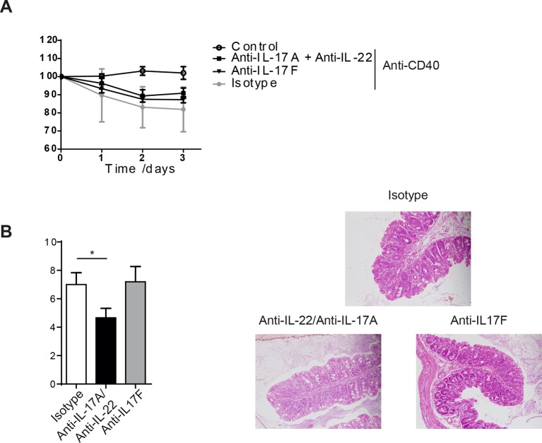 Figure 1—figure supplement 1.