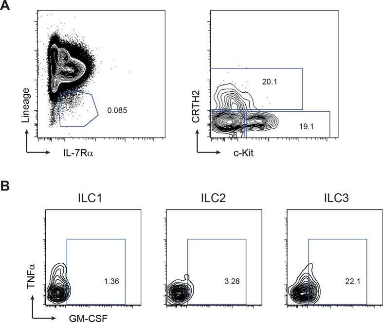 Figure 3—figure supplement 1.