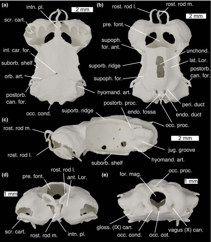 FIGURE 7