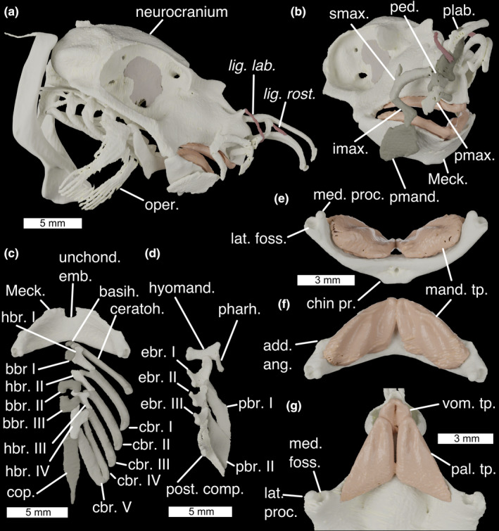 FIGURE 2