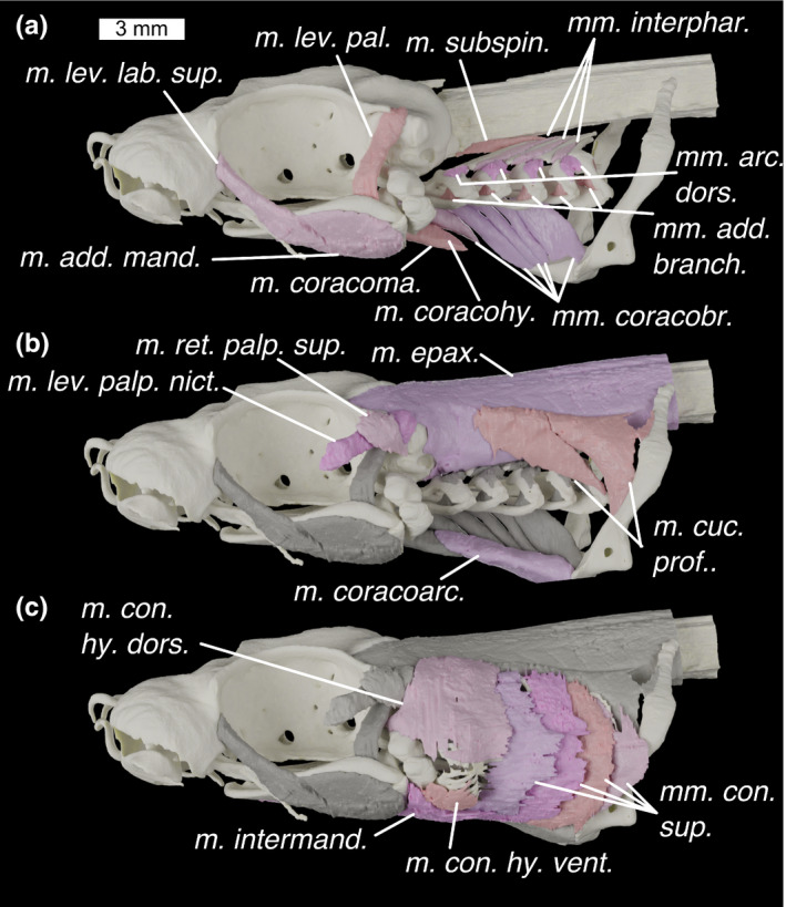 FIGURE 10