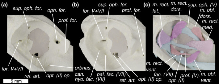 FIGURE 3