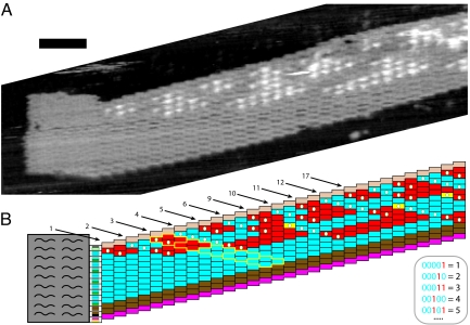 Fig. 5.