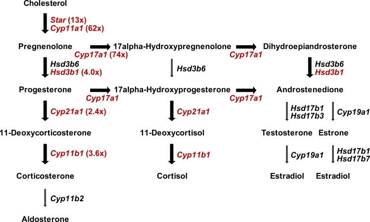 FIG. 4. 