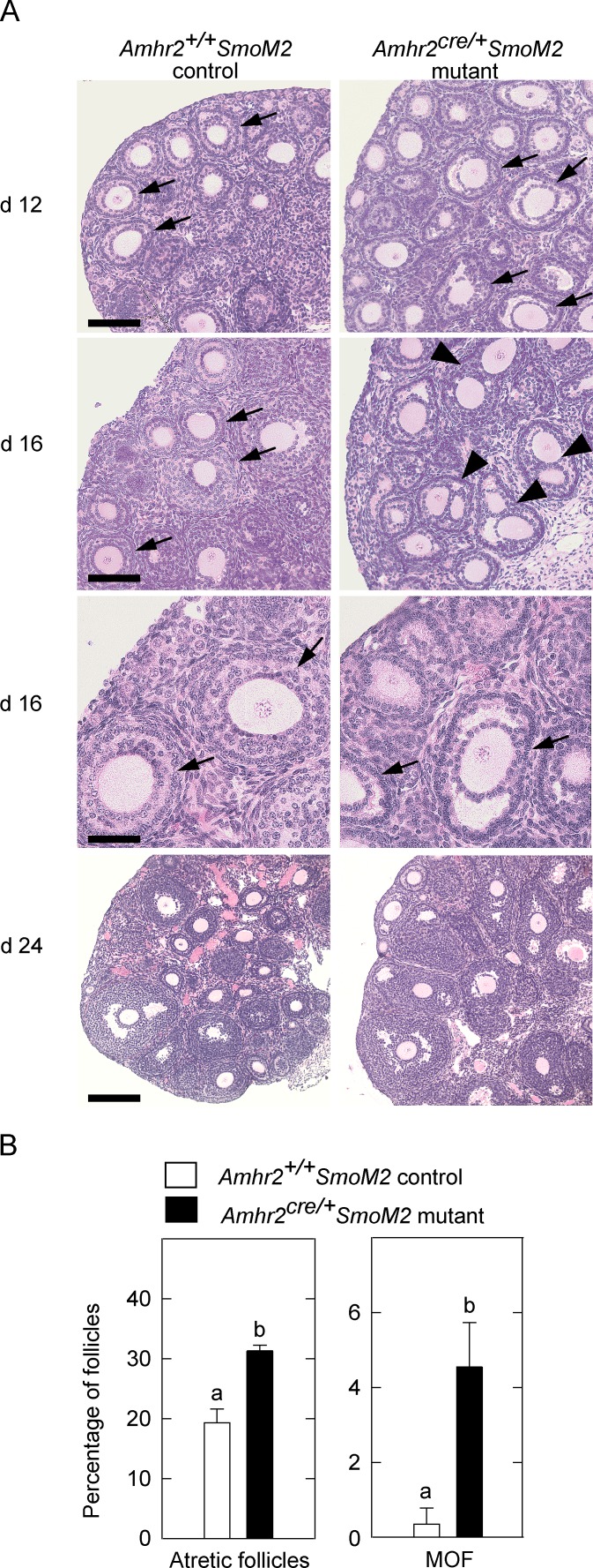 FIG. 10. 