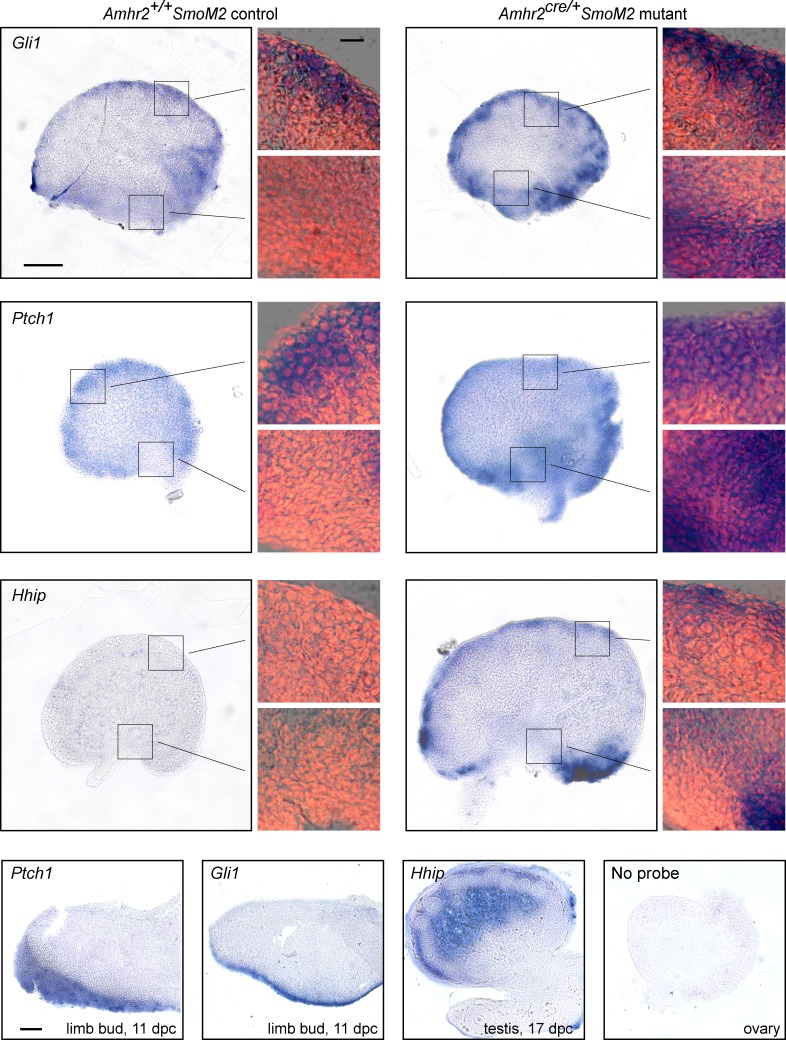 FIG. 3. 