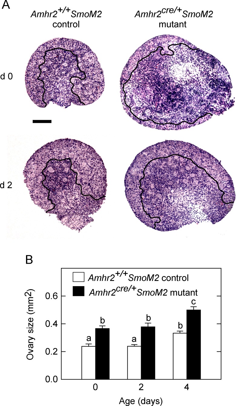 FIG. 9. 