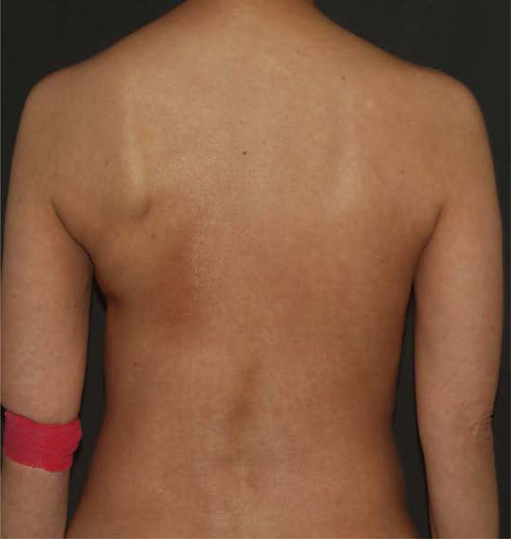 Figure 3: